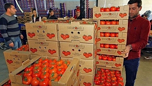 Rusya kapıları Türk ürünleri için 1 Ocak'a kadar açık