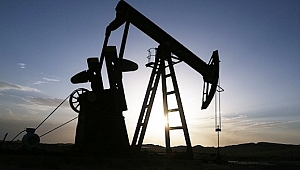 OPEC küresel petrol talebi tahminini düşürdü