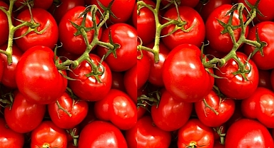 Rusya, Türkiye'den ithal edilen domates kotasını artırmaya hazırlanıyor